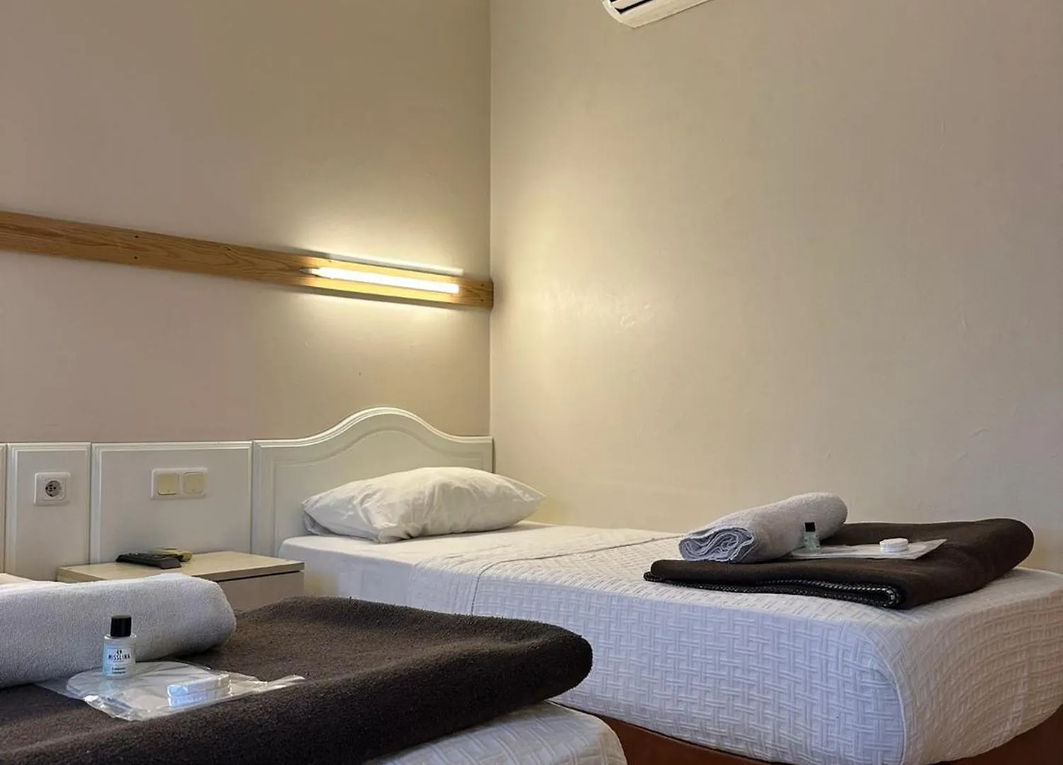 Hotel Bueyuek Sehzade Istanbulská provincie 3*,